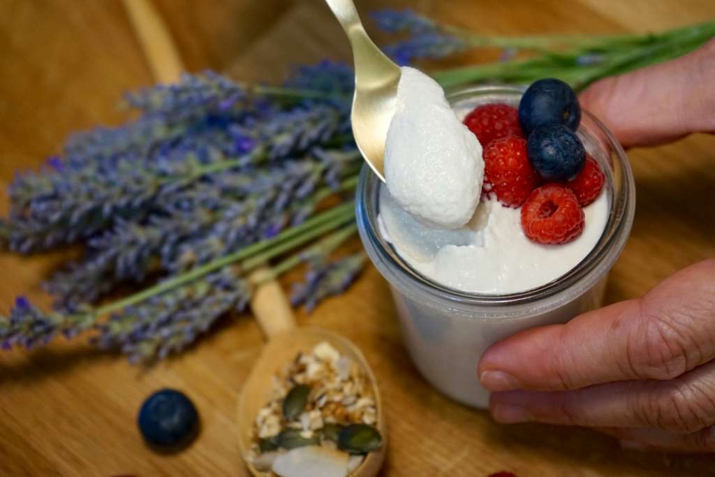 Como podrás imaginar, existen muchísimas formas de hacer yogures con ingredientes vegetales. Esta receta se elabora con frutos secos.